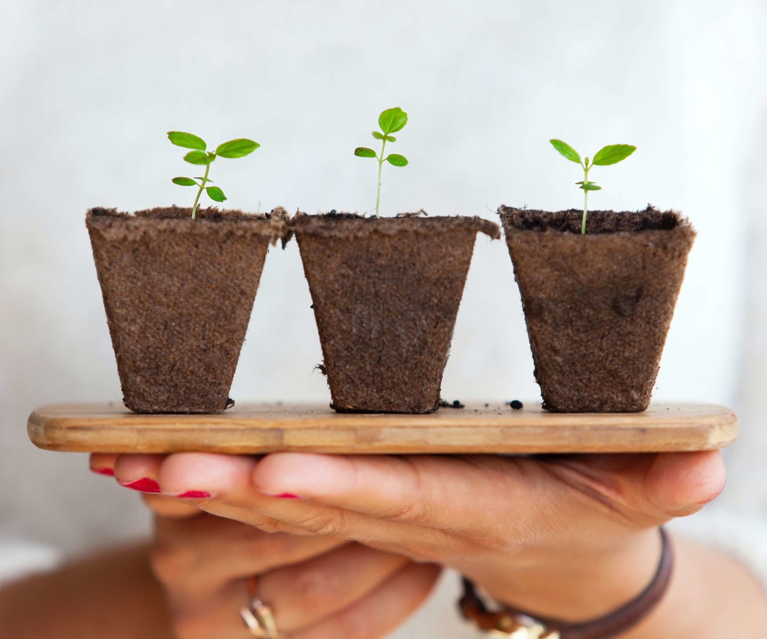 scale a photography business