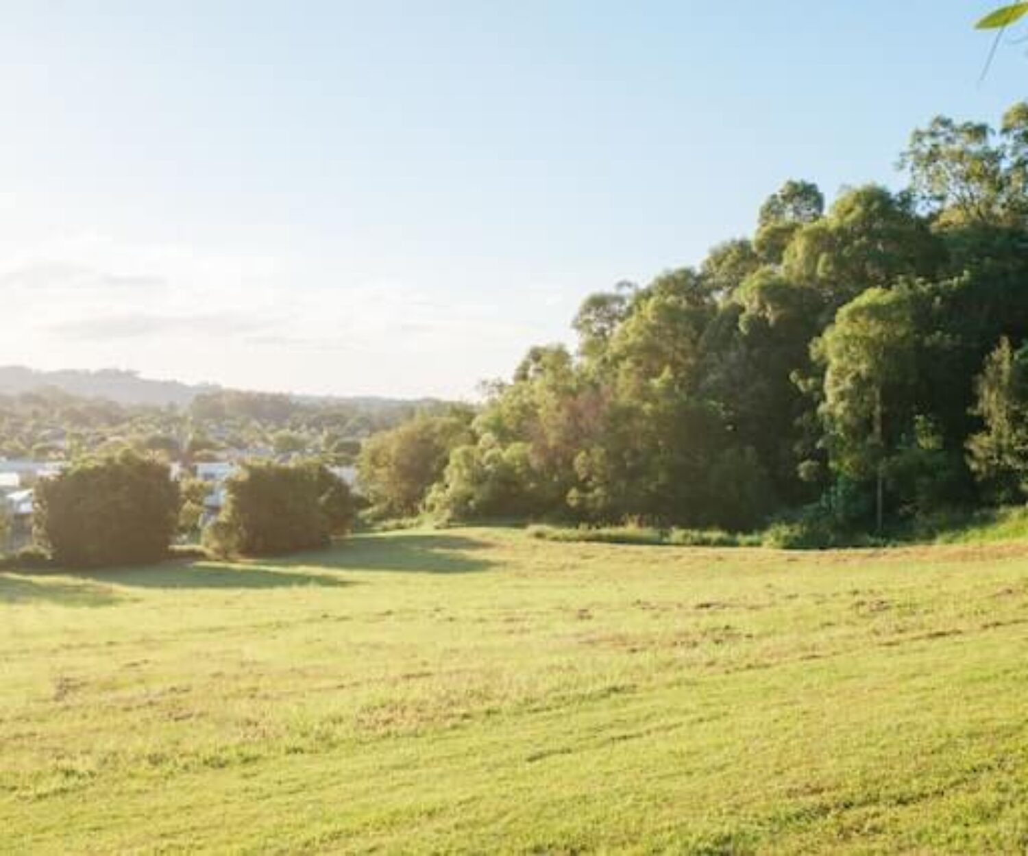 camera settings for sunny day