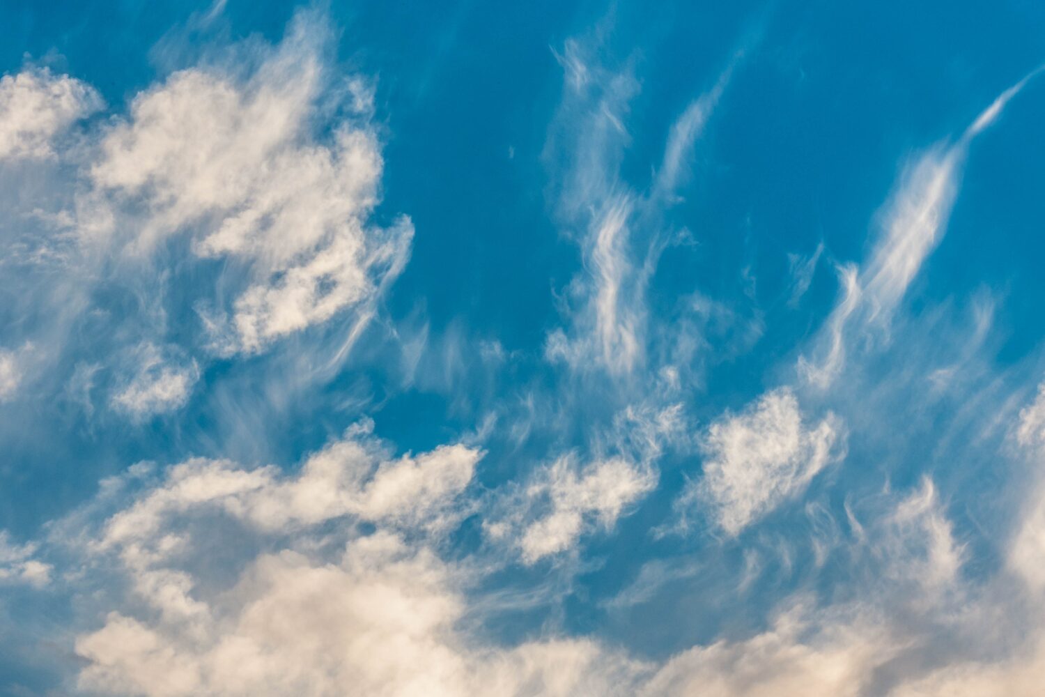 How to Manage Real Estate Client Expectations